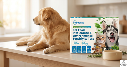 Hank's Story: How Our In-House AI Engine Solves Dog Allergies in 30 Days