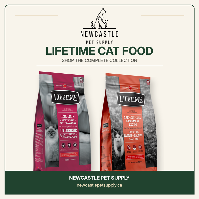 Lifetime cat food collection at Newcastle Pet Supply
