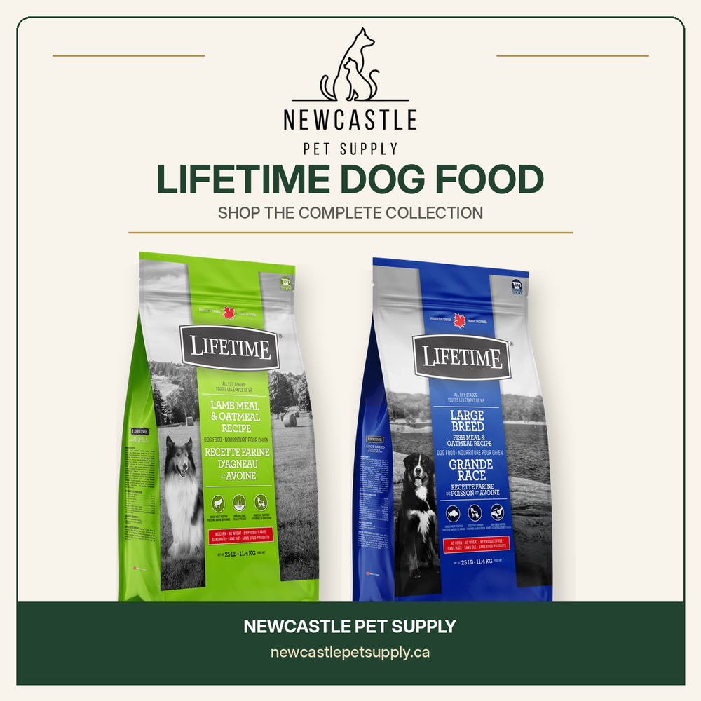 Lifetime dog food collection at Newcastle Pet Supply