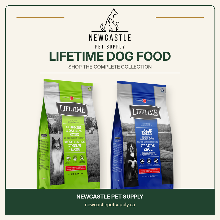 Lifetime dog food collection at Newcastle Pet Supply