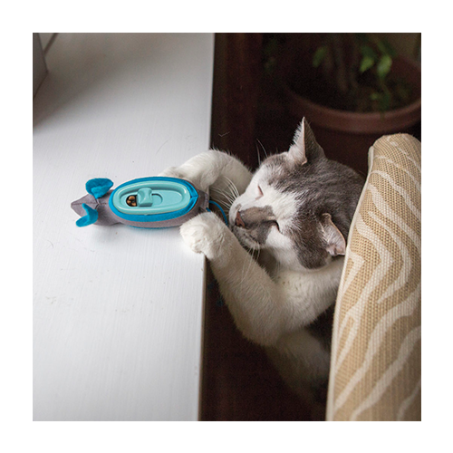 Spot® Doc & Phoebe™ Indoor Hunting Snacker