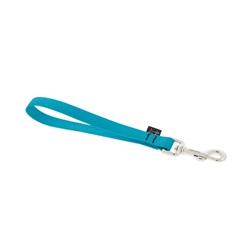 Lupine® Basics Training Tabs for Dogs Aqua 3/4"