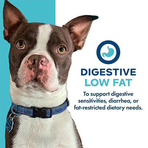 Fromm Nutritionals Digestive Support Low Fat Pate Wet Dog Food 13-oz