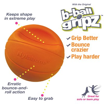 Nylabone Power Play Basketball Medium, 4.5"