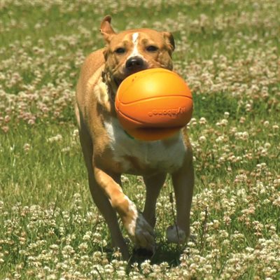 Nylabone Power Play Basketball Medium, 4.5"