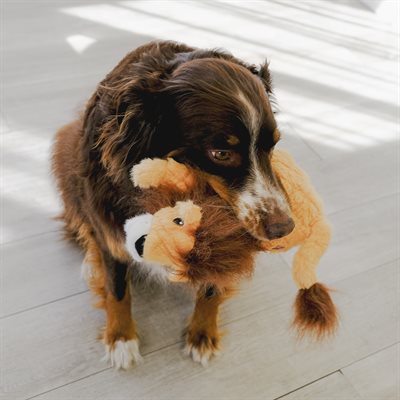 KONG Scampers Lion Medium