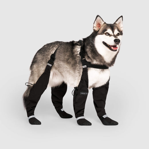 Canada Pooch - Suspender Boots - Black - 2 - Short