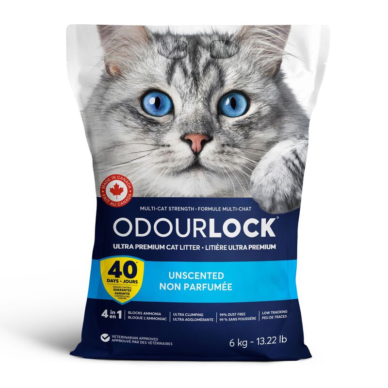 Intersand OdourLock Unscented Cat Litter, 13-lb