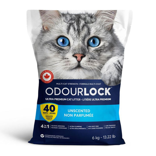 Intersand OdourLock Unscented Cat Litter, 13-lb