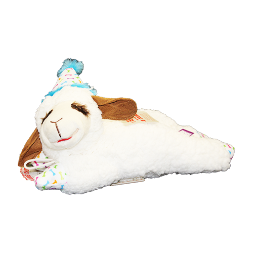 Multipet Lamb Chop with Birthday Hat Plush Dog Toy - 10.5"