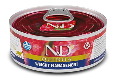 Farmina Rawcan Cat Quinoa Weight Management Lamb Wet Food, 2.8-oz