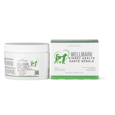 Wellmark Kidney Supplement, 100-gr