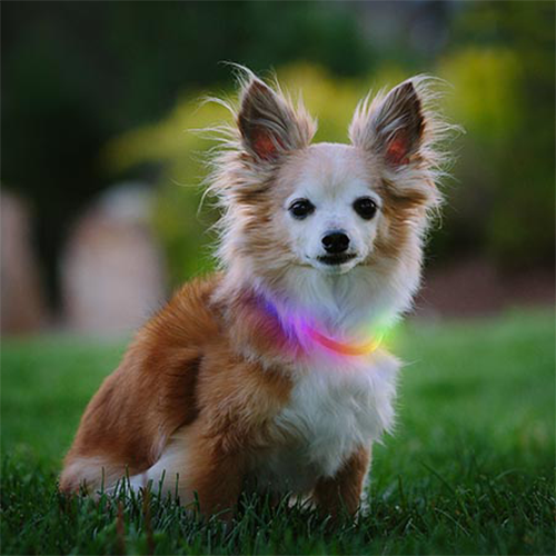 Nite Ize® NiteHowl® Disc-O Select™ Mini Rechargeable LED Safety Necklace