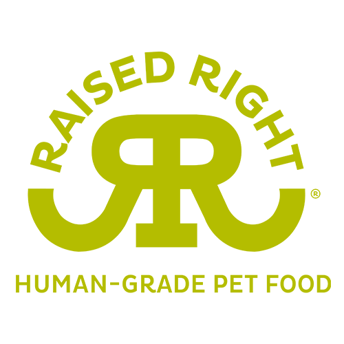 Raised Right® Adult Dog Beef & Pumpkin Paté Frozen Dog Food Bulk Box, 6-lb