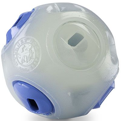 Planet Dog Orbee Tuff Whistle Ball Dog