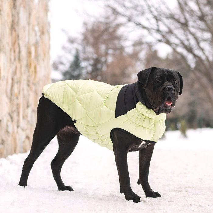 GF Pet Black Label Elasto-Fit Diamond Dog Puffer, Green, XL