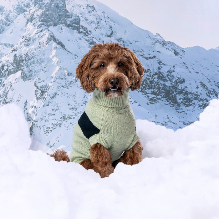 GF Pet Black Label Catalyst Dog Sweater, Green, 2XS