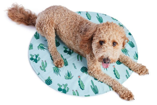 GF Pet Ice Mat Round Aqua Cactus Dog 60cm