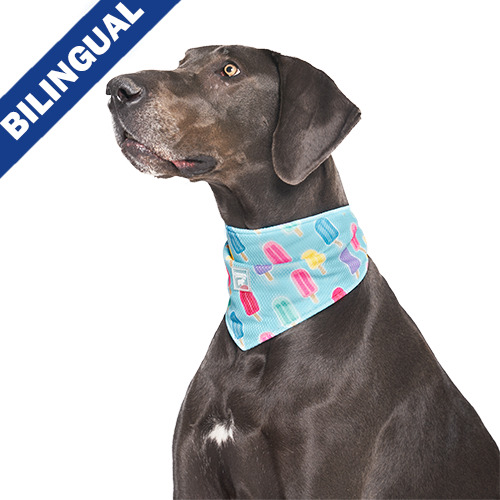 Canada Pooch Cooling Bandana Popsicles, Large