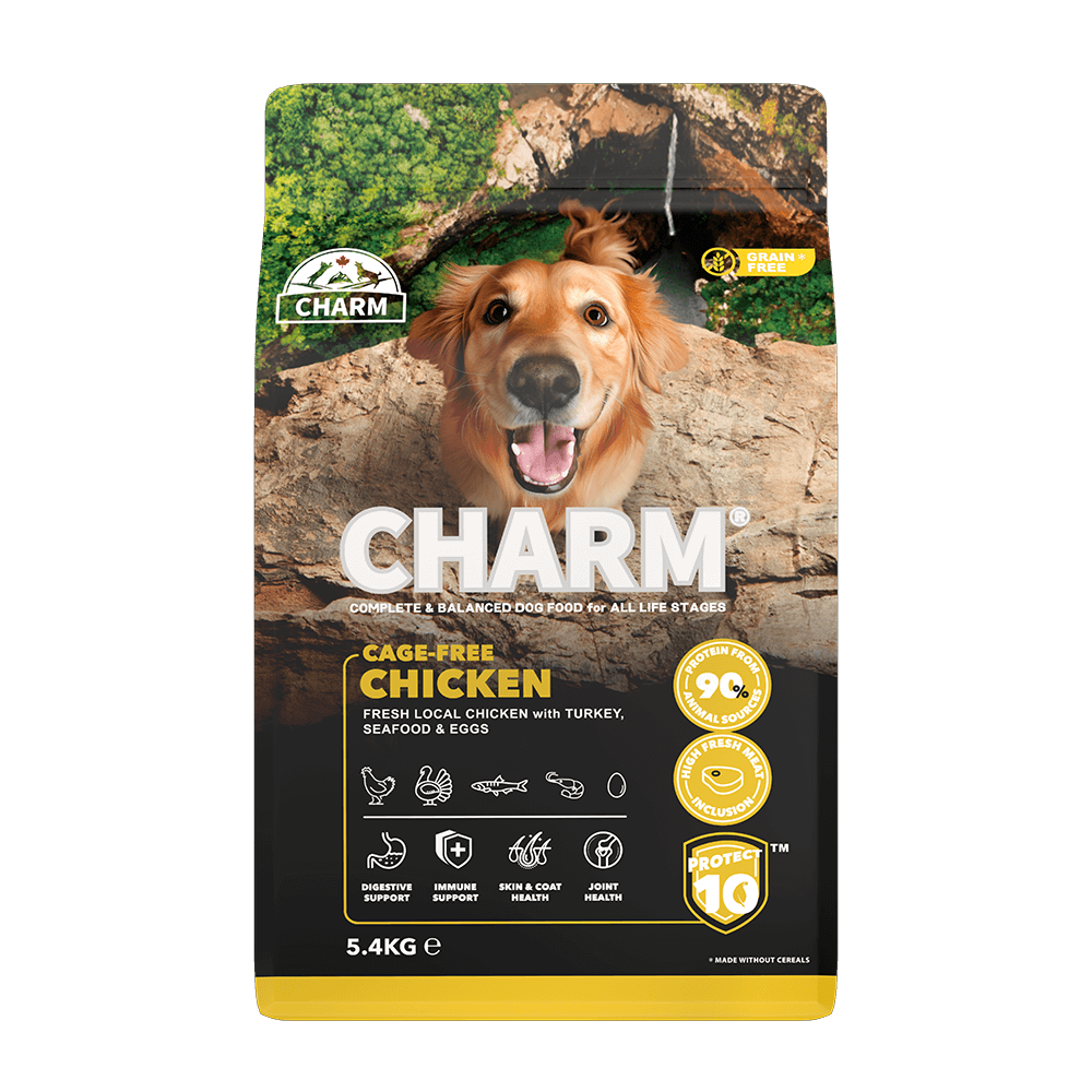 CHARM Free-Run Chicken Dog Food, 340-gr