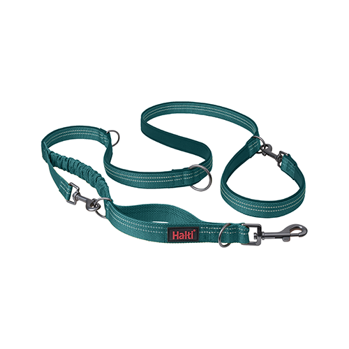 Company of Animals® Halti® Anatomy Multi Lead Teal Large