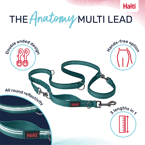 Company of Animals Halti Anatomy Multi Lead Teal Large