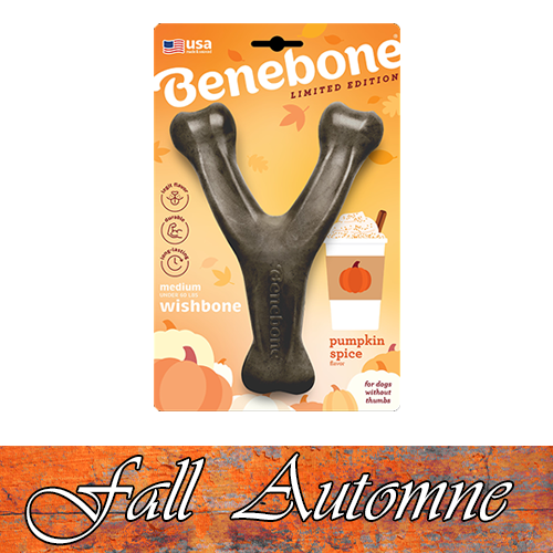 Benebone® FALL Limited Edition Pumpkin Spice Wishbone Medium Dog Toy