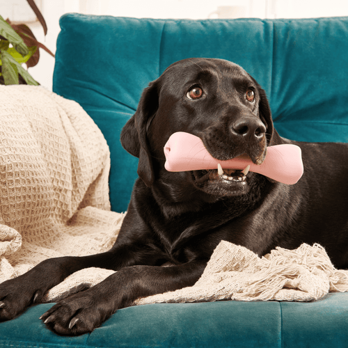 Beco - Treat Bone - Pink