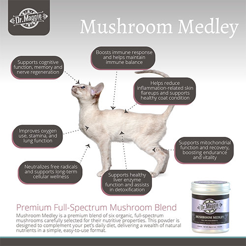 NaturPet® Dr. Maggie Organic Mushroom Medley for Cats & Dogs, 88-g