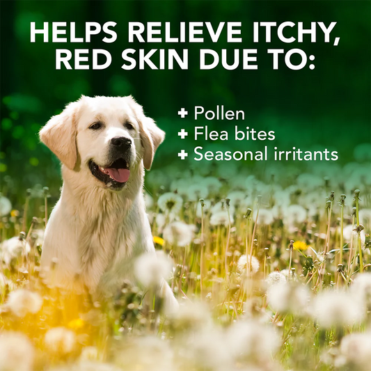 Vets Best Allergy Itch Relief Shampoo Dog, 16-oz