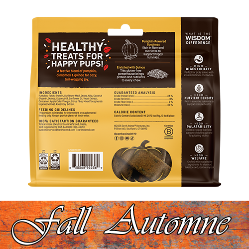 Earth Animal® Wisdom™ FALL Pumpkin Spice Recipe Air-Dried Jerky Dog Treat, 4-oz