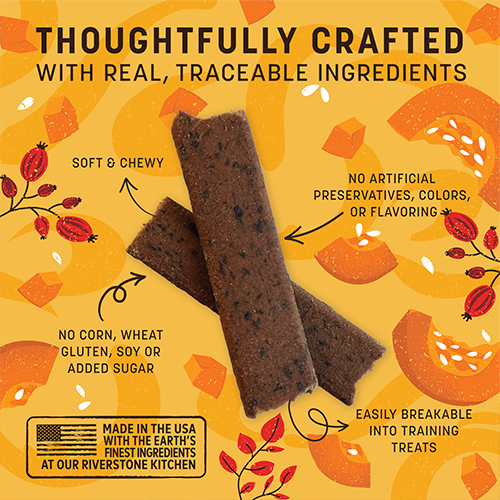 Earth Animal® Wisdom™ FALL Pumpkin Spice Recipe Air-Dried Jerky Dog Treat, 4-oz