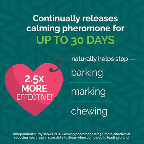 Vetality® Harmony Pet™ Calming Home Diffuser for Dogs