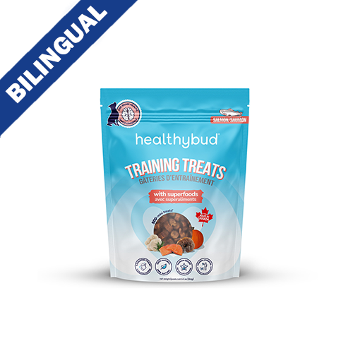 healthybud® Salmon Mini Training Treats for Dog, 184-gm