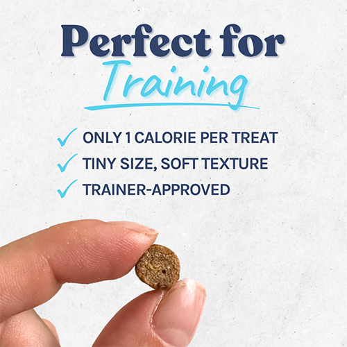 healthybud® Salmon Mini Training Treats for Dog, 184-gm