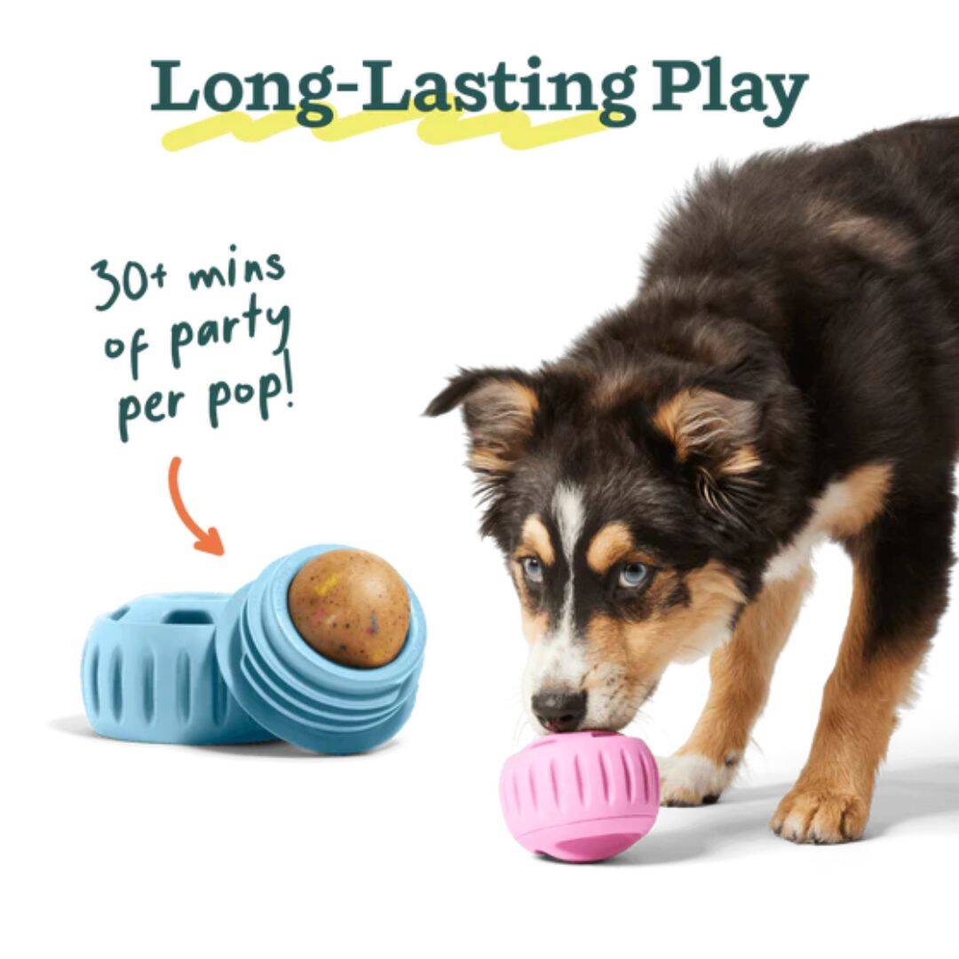 Woof - Birthday Pops - Large