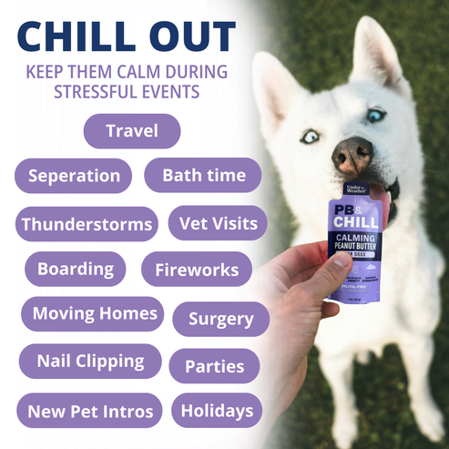 Under the Weather - Dog PB & Chill - 1-oz x 6