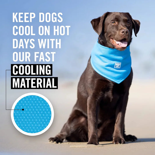 Canada Pooch Cooling Bandana Blue Small