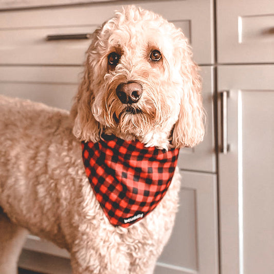 BCUDDLE Reversible Dog Bandana - Red Plaid - Small