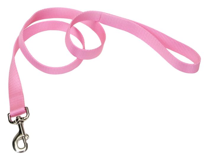 Coastal Single-Ply Dog Leash, Pink Bright, 1-in x 6-ft (Color: Pink Bright, Size: 1-in x 6-ft)