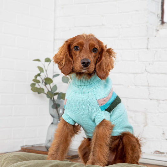 GF Pet - Alpine Sweater Light Aqua - Small - Dog