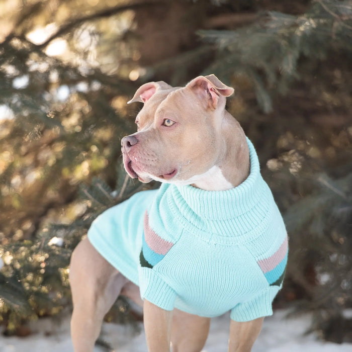GF Pet Alpine Dog Sweater, Light Aqua, 2XL