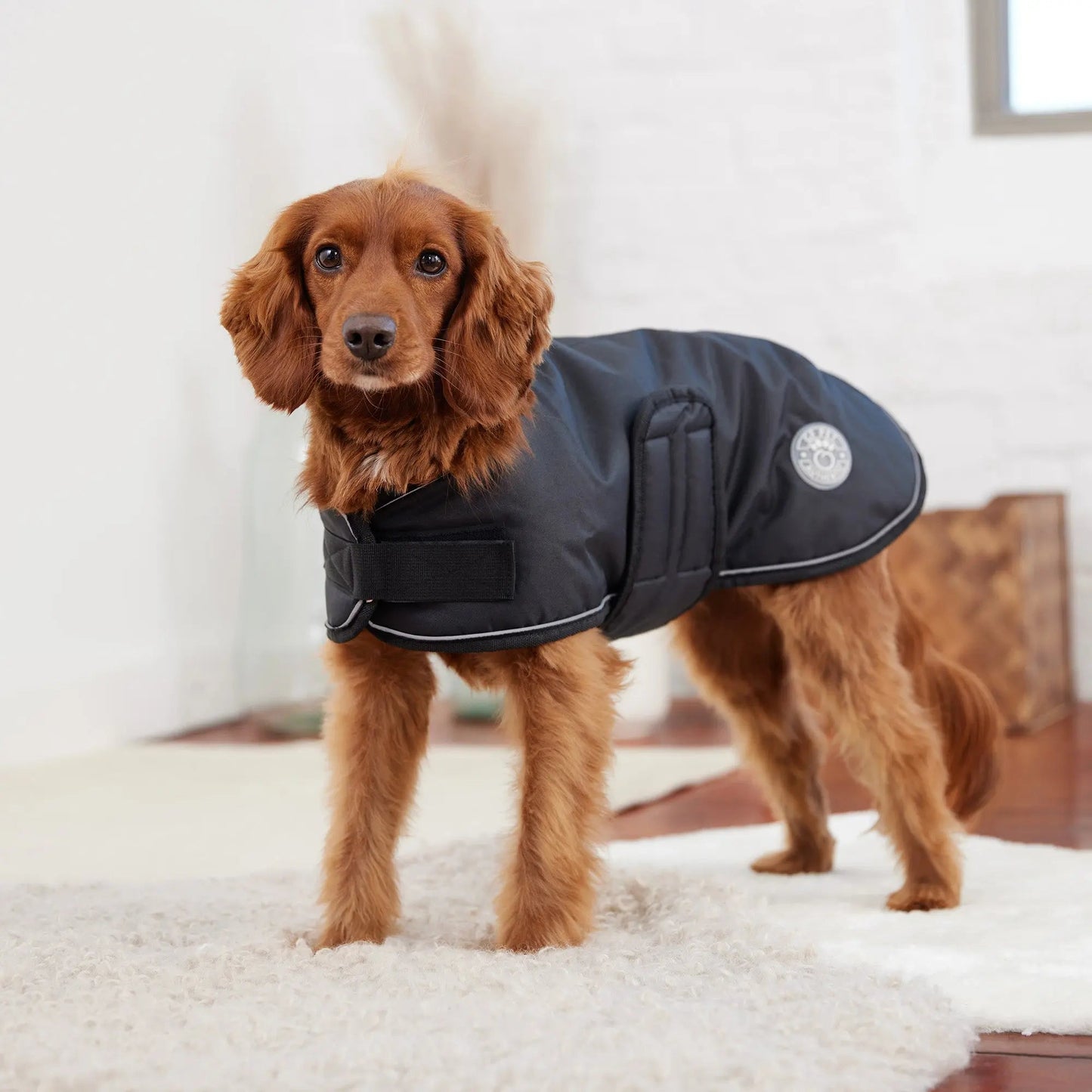 Gf Pet - Blanket Jacket - Black - Small - Dog