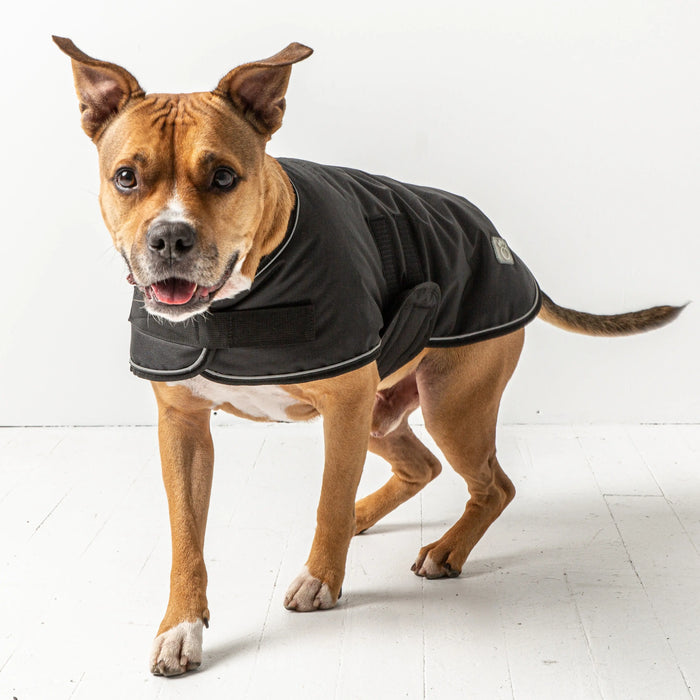 Gf Pet - Blanket Jacket - Black -XL - Dog