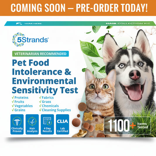 5Strands Pet Food Intolerance and Environmental Sensitivity Test
