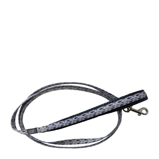Cloe e Cluzo Printed Cat Leash Fish Print 48-in