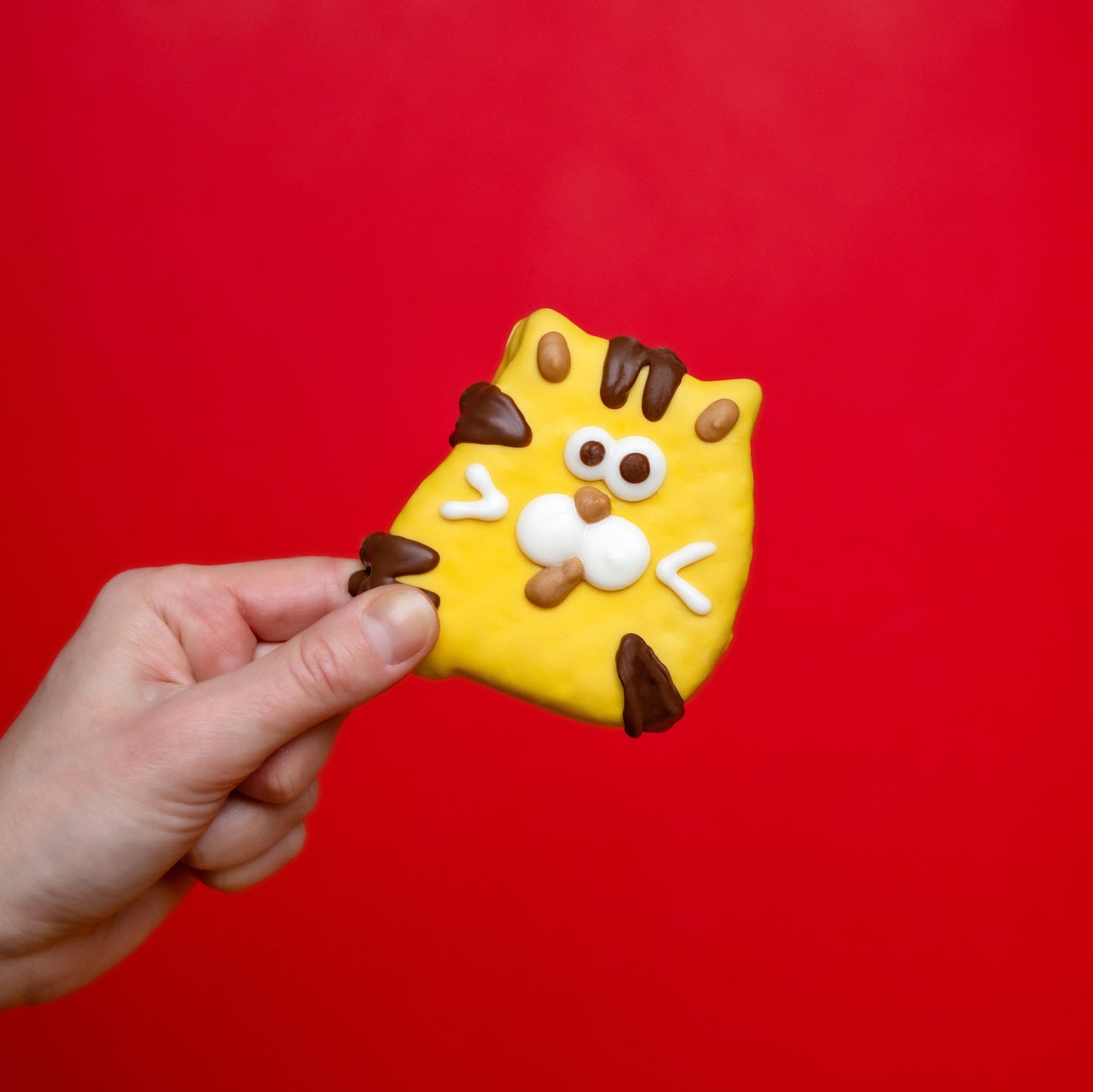 BOSCO AND ROXY'S Feline Friend Dog Cookie, 65-g