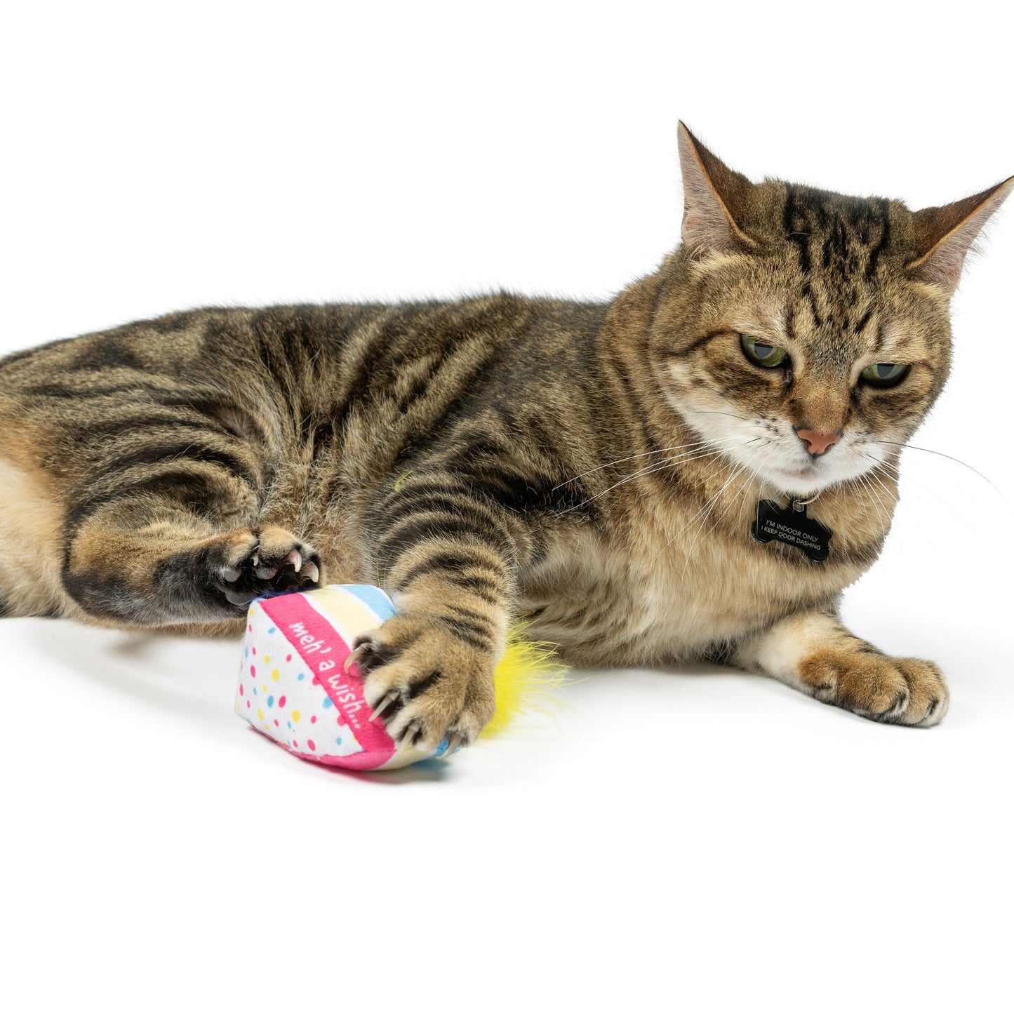 Huxley & Kent - Meh' A Wish Cake Cat Toy