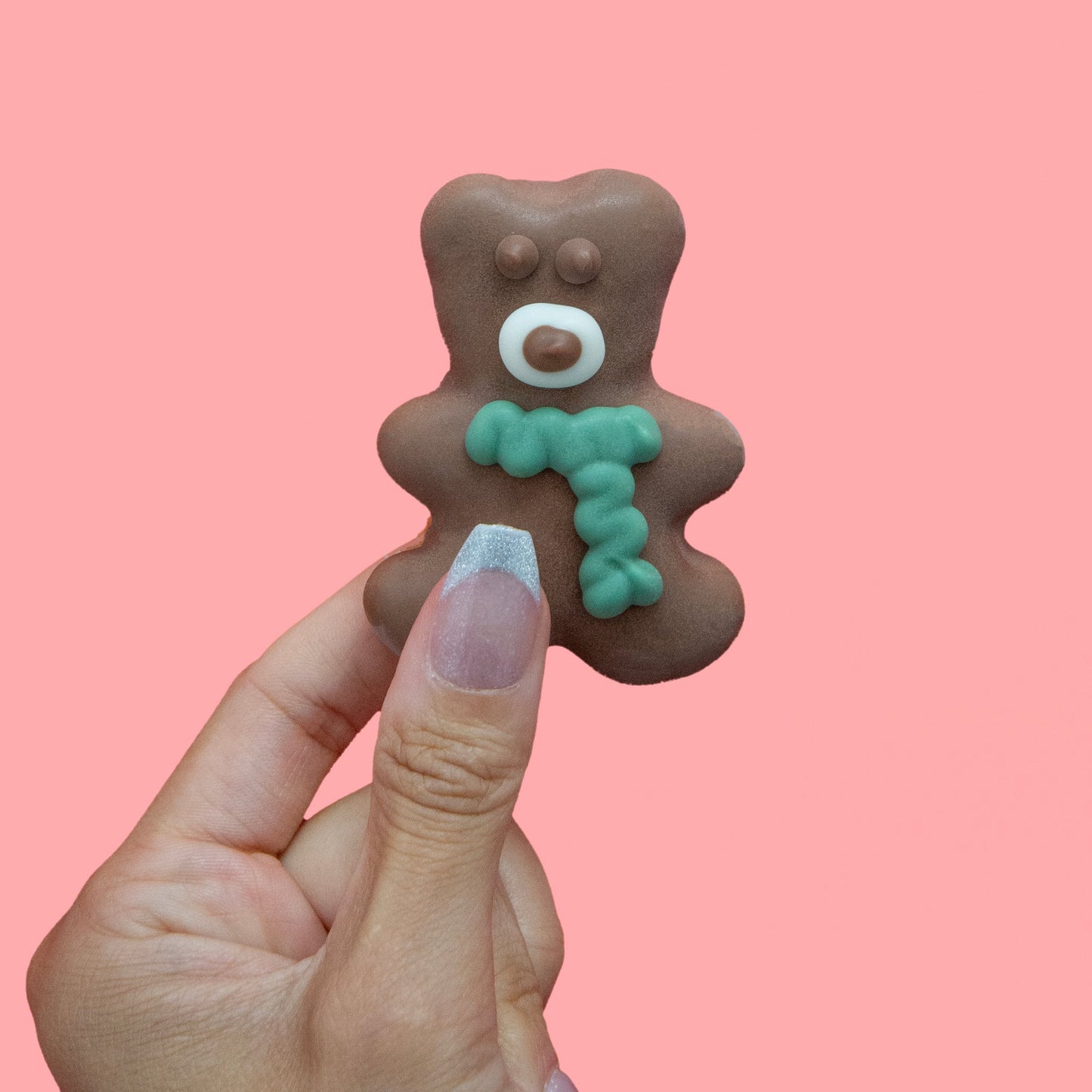 Bosco & Roxy's - Have a Beary Christmas Dog Biscuit - Assorted