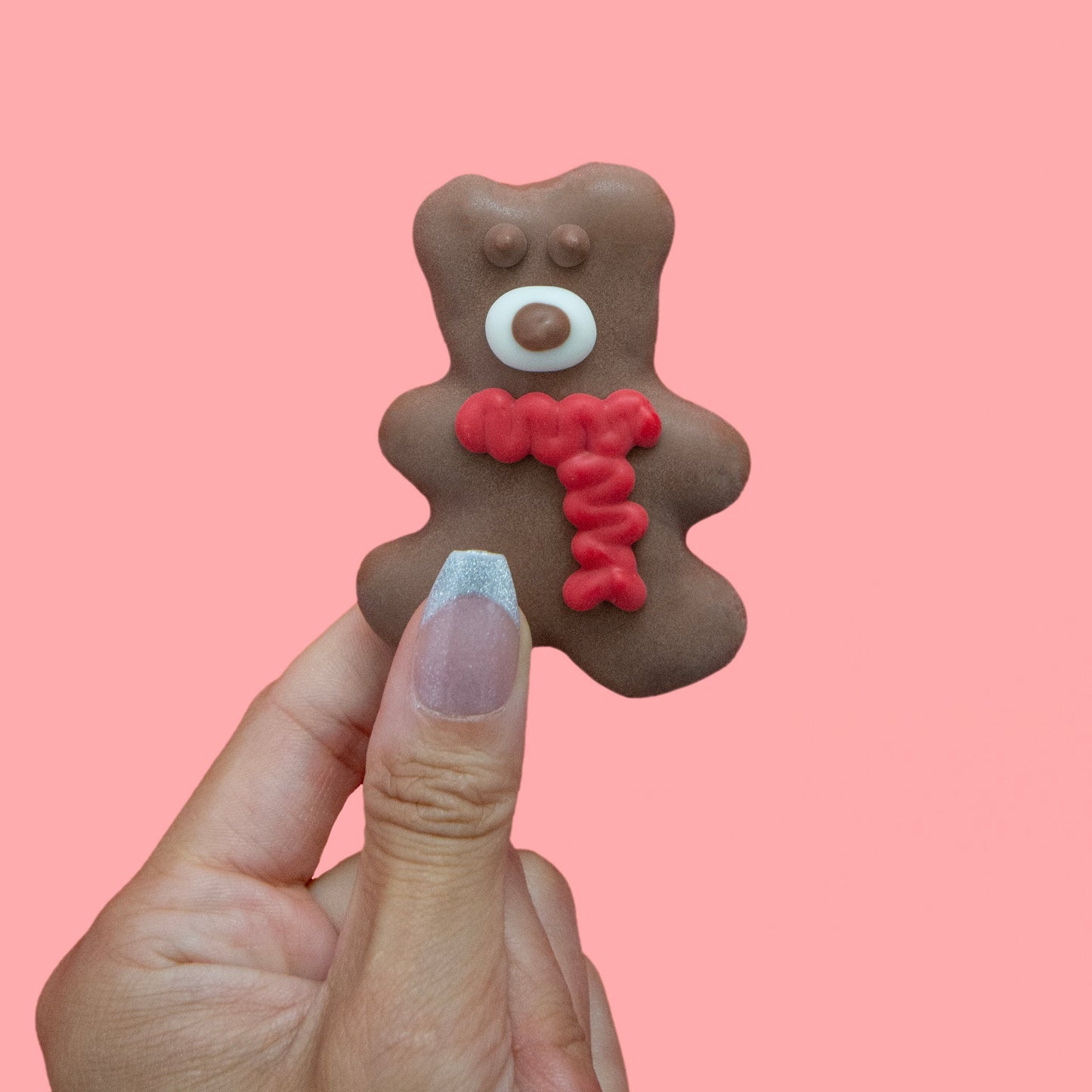 Bosco & Roxy's - Have a Beary Christmas Dog Biscuit - Assorted